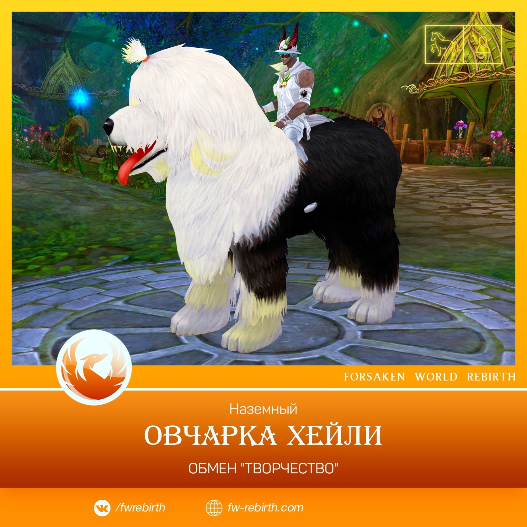 собака.jpg